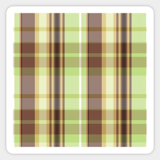 Autumn Aesthetic Conall 1 Hand Drawn Textured Plaid Pattern Sticker